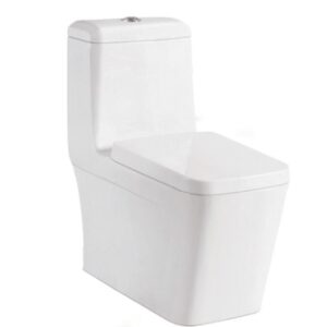 Qube Italia QB 6040 One Piece Tornado Siphonic Toilet