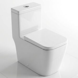 Bathx Kanpo BX-5513 Siphonic Toilet
