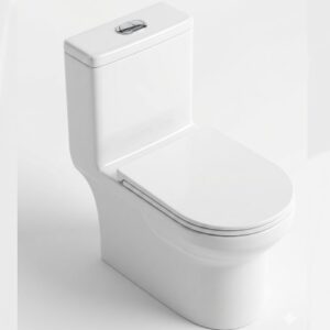 Bathx Winta 5596 Washdown Toilet